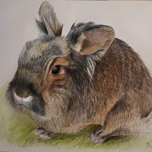 Tierzeichnung20190306