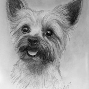 Hundezeichnung mit Bleistift gezeichnet